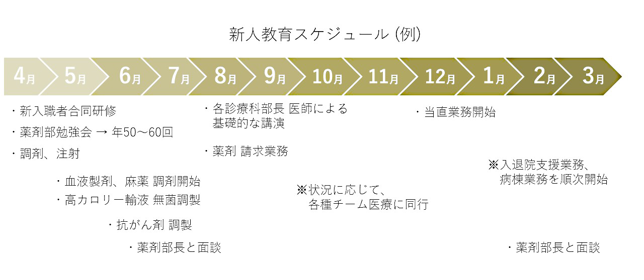 新人教育スケジュール（例）