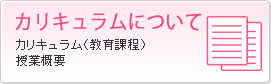 カリキュラムについて