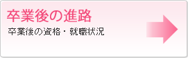 卒業後の進路