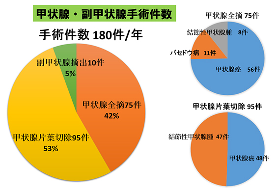 甲状腺・副甲状腺手術件数